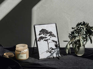 Sunlight Through Tree Ink Print