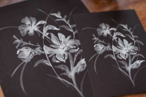 Winter Florals White Gouache Print